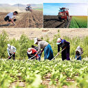 Kırsala 20 milyar liralık yeni yatırım geliyor: 30 bin kişiye iş kapısı açılacak