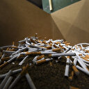 Afrique du Sud / Zimbabwe: 20 millions de cigarettes de contrebande détruites