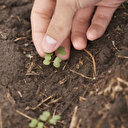 Face aux sécheresses récurrentes, les fermiers canadiens cherchent des solutions