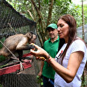 D'éleveurs de bétail à soigneurs face à la déforestation de l'Amazonie colombienne