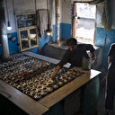 En Afghanistan, les théières exhalent les saveurs du mouton