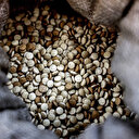 Oman saisit une grande quantité de captagon, drogue endémique dans le Golfe