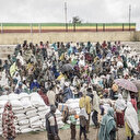 Éthiopie: le Tigré crie famine après la suspension de l'aide alimentaire