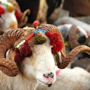 Kurban keserken hangi dualar okunur?