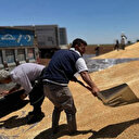 Buğdayda yüzleri güldüren rekolte: Ambarlar dolunca kanallarda saklanmaya başlandı
