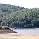 Valilik duyurdu: Bir ilde daha ormanlara giriş yasağı