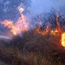 Feux de forêt: le Portugal se prépare à une année difficile
