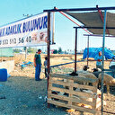 Kurban pazarı kurulamadı
