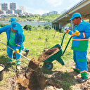 Başakşehir’de 5 bin fidan toprakla buluştu