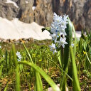 Tourisme: Les beautés printanières spectaculaires et les glaciers attirent les alpinistes dans l'est de la Türkiye