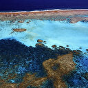 Grande barrière de corail: l'Unesco salue 2,7 milliards d'euros d'"engagements formels" de l'Australie