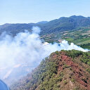 Muğla'da orman yangını