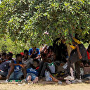 La Gambie rapatrie près de 300 migrants, la moitié échoués en Libye