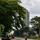 Initiative villes vertes: près de 150 millions Fcfa de la FAO au profit de la Côte d’Ivoire