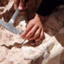 Kayseri'de bu yılki kazılarda 7,5 milyon yıllık zürafa kol kemiği bulundu