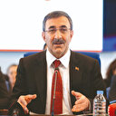 Hedef tek haneli enflasyon