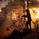 İspanya'da orman yangını: Dört bin kişi tahliye edildi