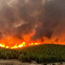 Orman yangınlarının nedenleri