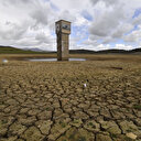 Tunisie: Les précipitations éliminent le spectre de la soif pendant l'été