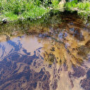 Sivas Valiliğinden Kızılırmak'taki kirlilikle ilgili açıklama: Hayatın genel akışını etkilemeyecek