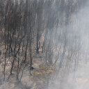Yunanistan'da orman yangını