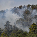 Tunisie: La protection civile encore aux prises avec les feux de forêt à Melloula