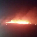 İzmir'in Urla ilçesinde makilik alanda yangın çıktı