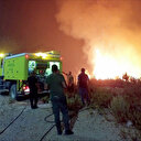 Tunisie: Les feux de forêt à Melloula continuent de défier les efforts de la protection civile