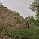Niger: douze paysans tués dans leurs champs par des hommes armés