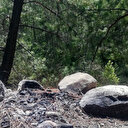 'Kamera' uyarısına aldırmayanlar yasağa rağmen ormanda ateş yaktı