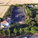 Bozkırın ortasında görenler hayran kalıyor: 'Burada tutmaz' diyenlere aldırış etmedi