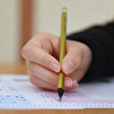 LGS yerleştirme sonuçları açıklandı