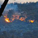 Manisa'daki orman yangınında ikinci gün: Havadan ve karadan müdahale ediliyor