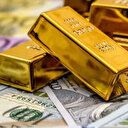 ABD Merkez Bankası (FED) faizi sabit tutarsa altın, dolar ve Bitcoin ne olur?