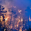 Algérie: 10 soldats tués dans des incendies de forêt dans le nord du pays