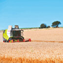 Karesi’de buğday hasadı başladı
