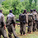 Yunanistan'a kaçacaktı: Eski HDP'li belediye eş başkanı sınırda yakalandı