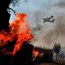 Incendies en Grèce: l'écosystème "en danger", selon des experts