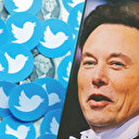 Musk çok eğleniyor