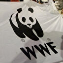 Climat: les incendies contrôlés, un succès en Grèce, selon WWF