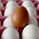 Haziranda fiyatı en fazla artan ürün 'çay' en fazla düşen 'yumurta' oldu