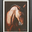 At sergisi yıl sonunda görücüde