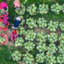 Le Maroc et la Chine signent un protocole d'accord dans le secteur agricole