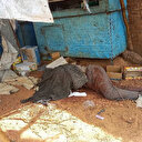 Près de trois millions de déplacés suite au conflit au Soudan