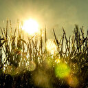 Le monde a connu son mois de juin le plus chaud jamais enregistré