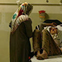 Çilek toplayan kadını yılan ısırdı