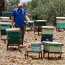 Le succès croissant des miels de Jordanie, riches et divers 