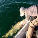 Elazığ'da amatör balıkçı 46 kilo 800 gram ağırlığında turna balığı yakaladı