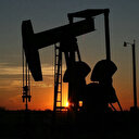 OPEC'in petrol üretimi temmuzda 836 bin varil azaldı