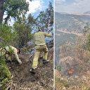 Siirt'te ormanlık alanda çıkan yangın söndürüldü